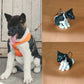 Dog Figures/ figurines - turn your dog's photo into a desk buddy/ keychain
