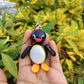Jointed PINGU figure penguin