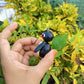 Jointed PINGU figure penguin